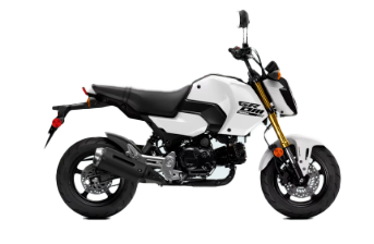 Model Image